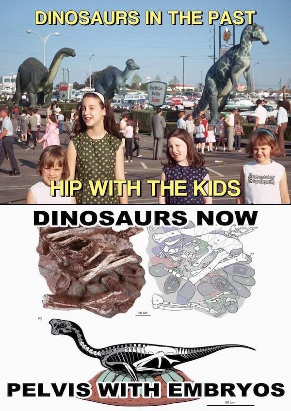 Funny Memes (33 pics)