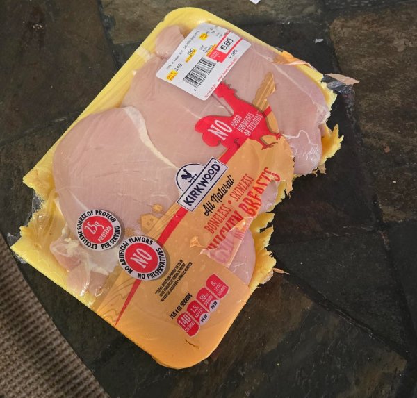 Bad Days Happen (22 pics)