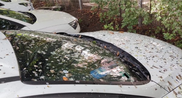 Bad Days Happen (22 pics)