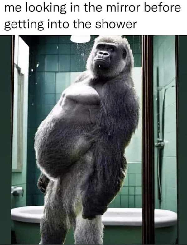 Funny Memes (33 pics)