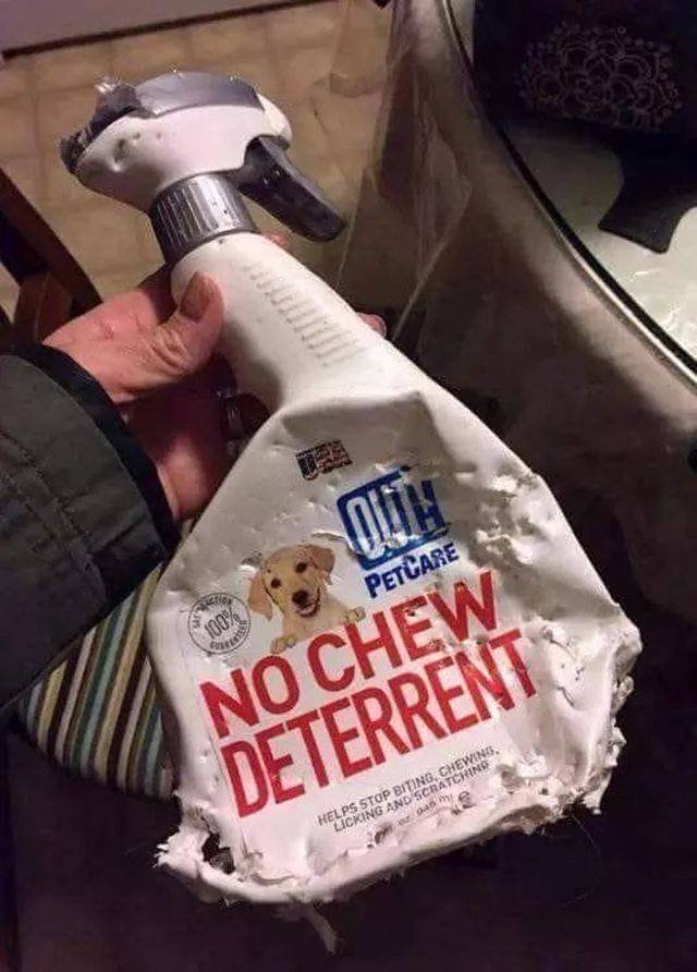 Bad Days Happen (50 pics) Bad Days Happen (50 pics)