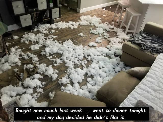 Bad Days Happen (50 pics) Bad Days Happen (50 pics)