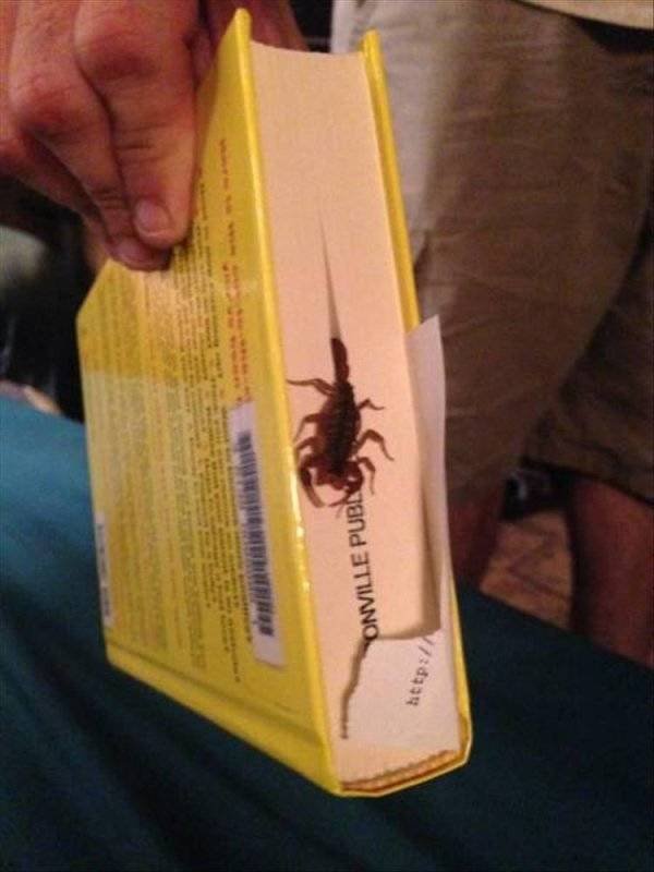 Redneck Inventions And Repairs (48 pics)