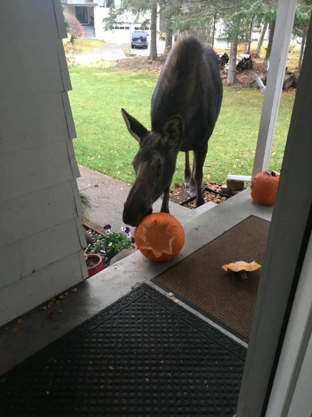 Bad Days Happen (50 pics) Bad Days Happen (50 pics)