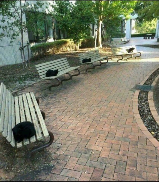 Inretesting Finds (49 pics)