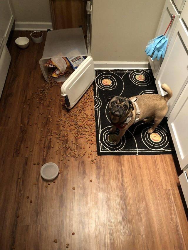 Bad Days Happen (50 pics) Bad Days Happen (50 pics)