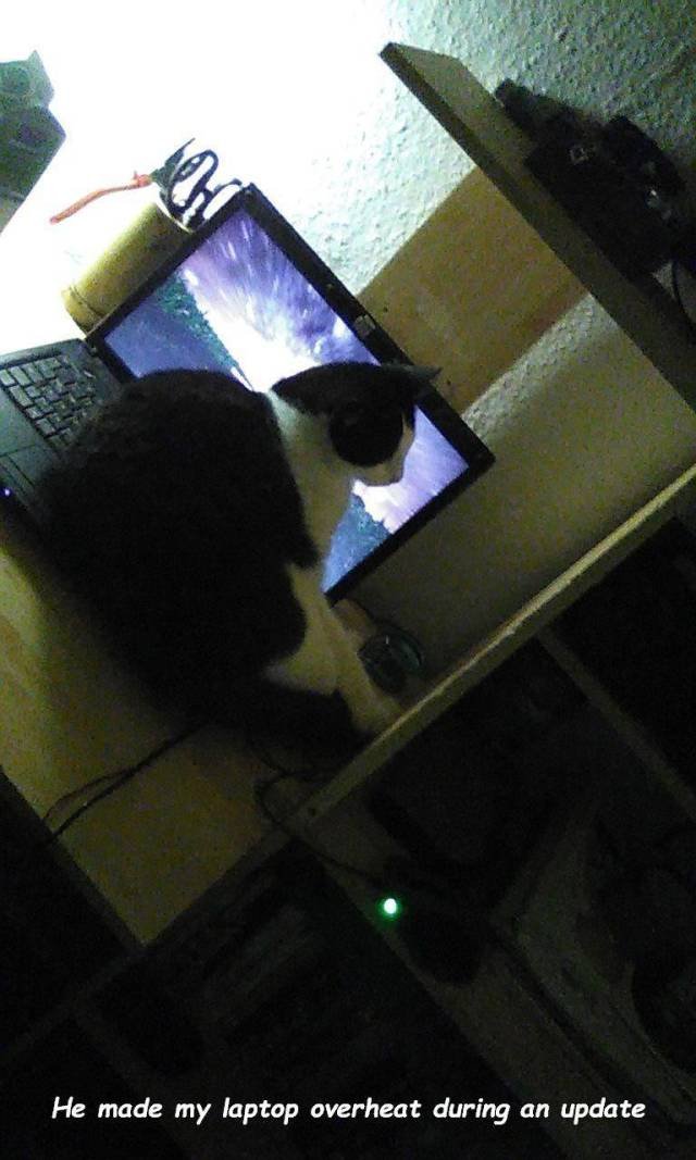 Bad Days Happen (50 pics) Bad Days Happen (50 pics)