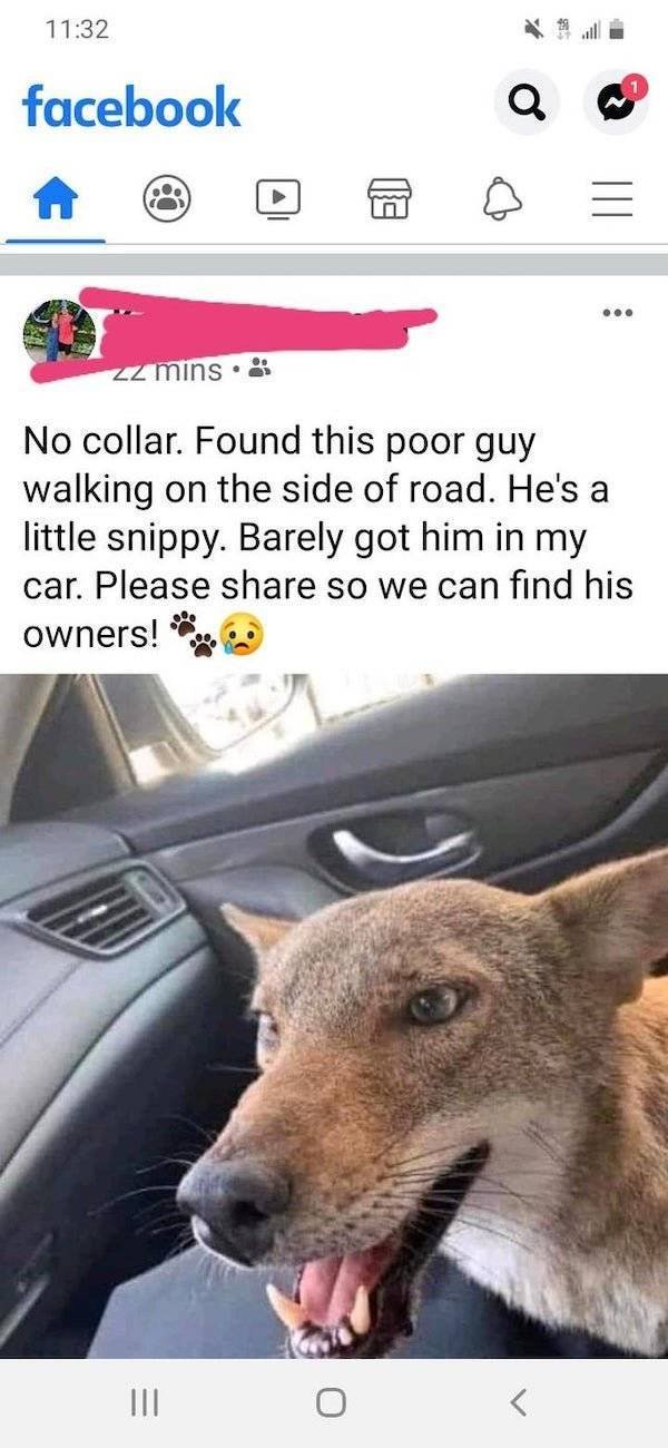 Not Very Smart People (32 pics)