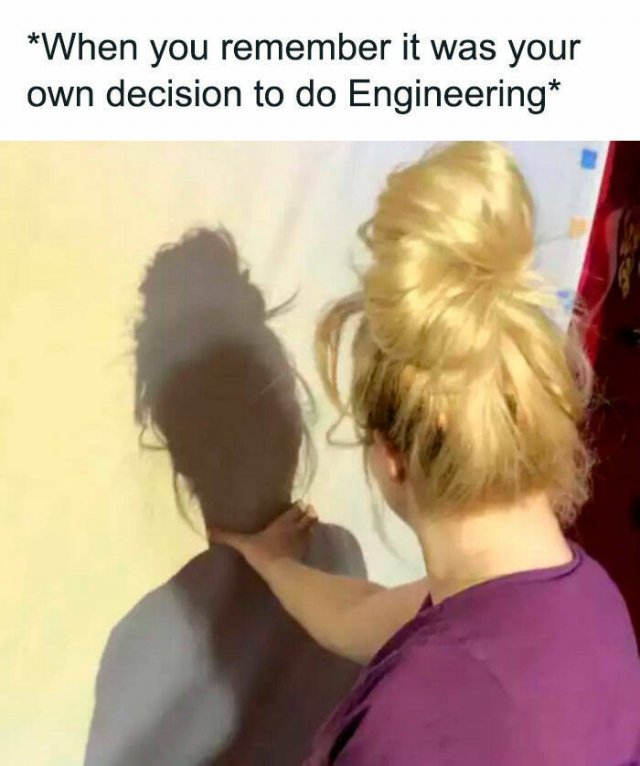 Memes For Engineers (20 pics)