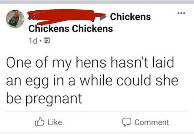 Not Very Smart People (32 pics)