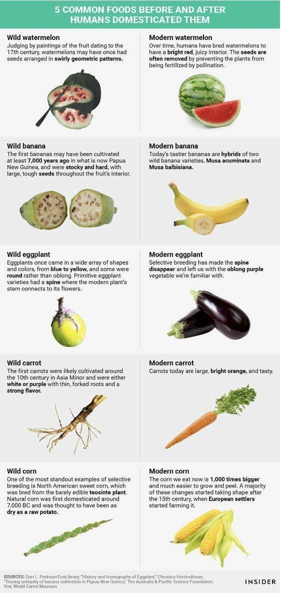 Interesting Data (26 pics)