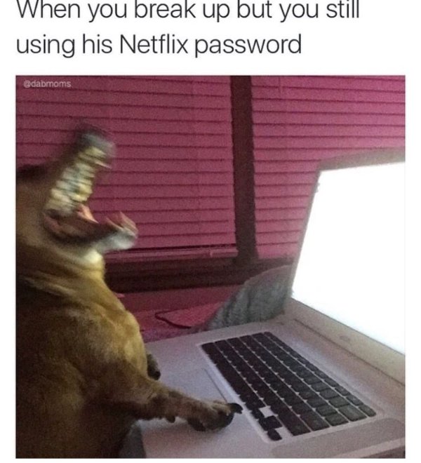 Random Memes (28 pics)