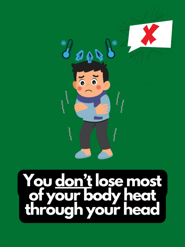 Myths That People Believe (22 pics)