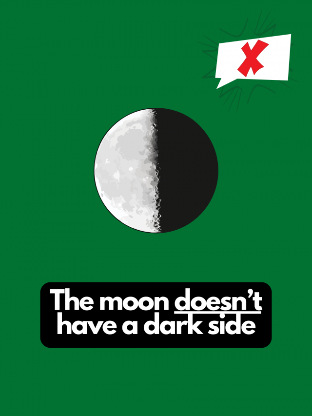 Myths That People Believe (22 pics)