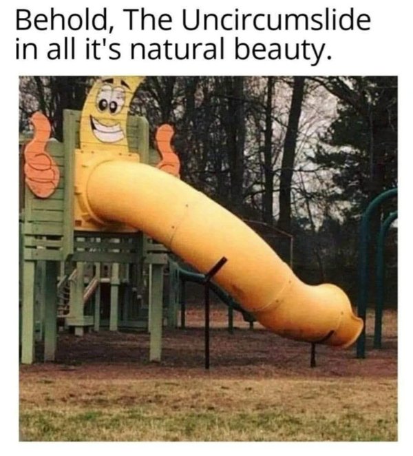 Random Memes (28 pics)