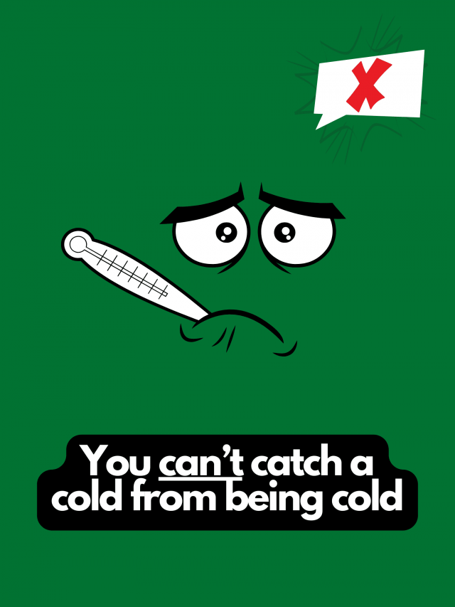 Myths That People Believe (22 pics)