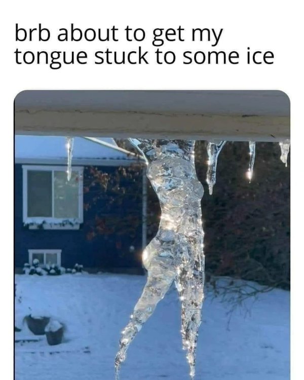 Funny Memes (29 pics)