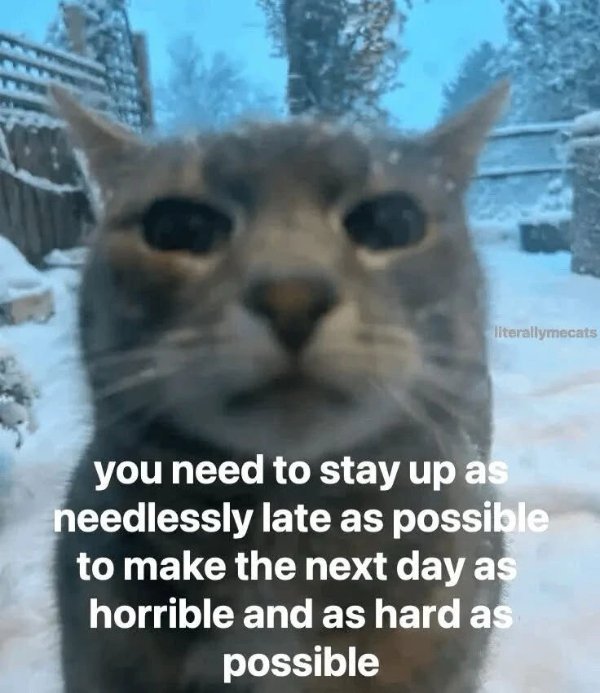 Random Memes (28 pics)