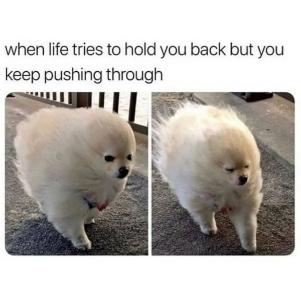 Funny Memes (29 pics)