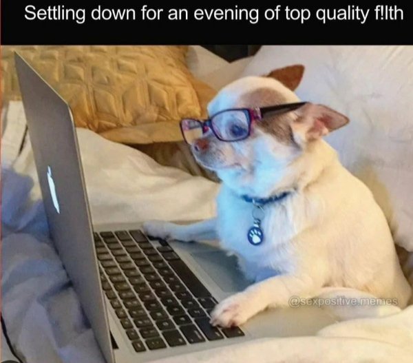 Funny Memes (29 pics)