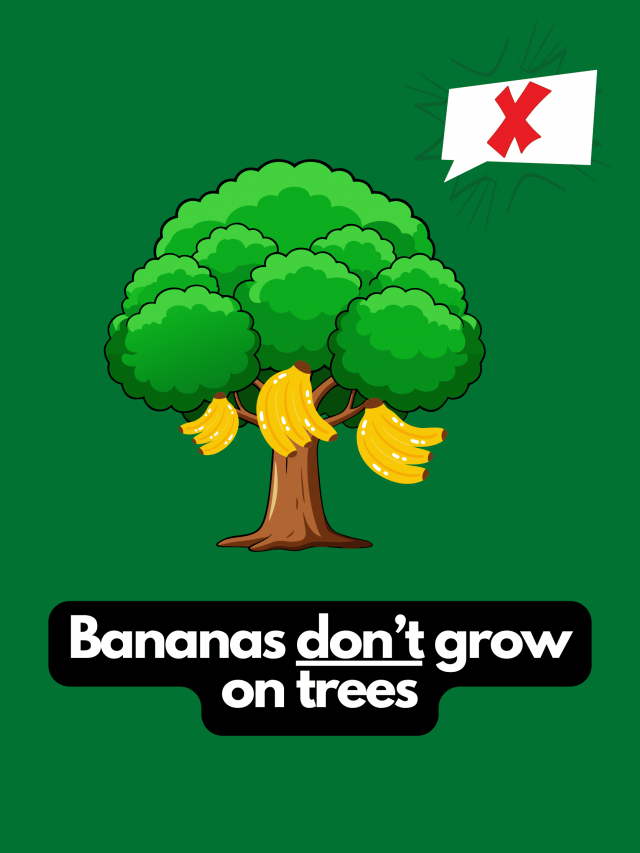 Myths That People Believe (22 pics)