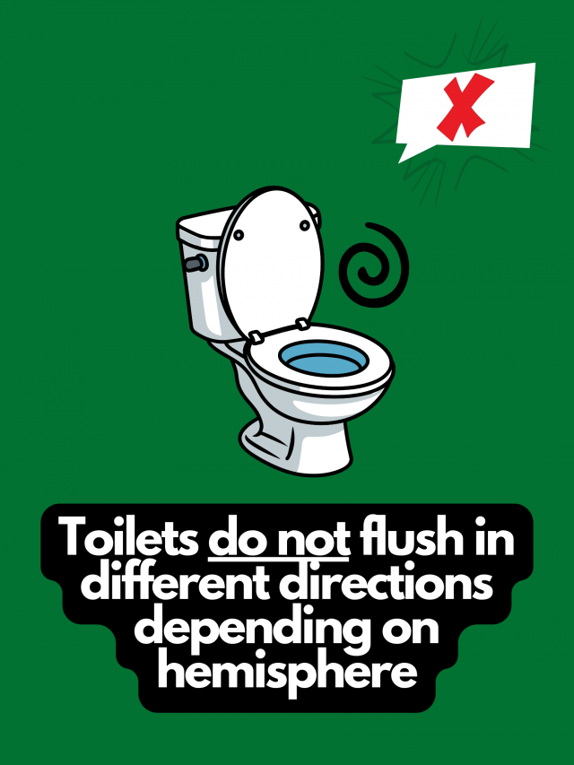 Myths That People Believe (22 pics)