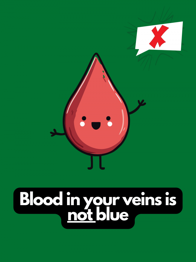 Myths That People Believe (22 pics)