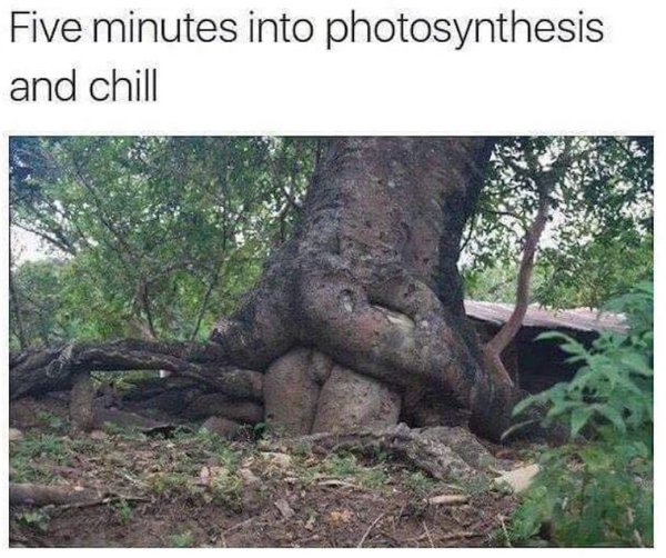 Random Memes (28 pics)