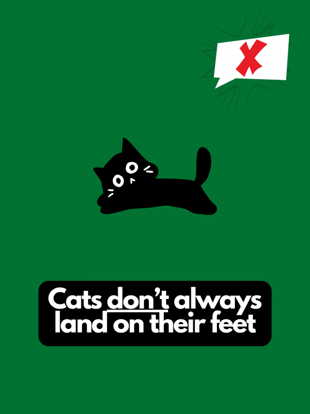 Myths That People Believe (22 pics)