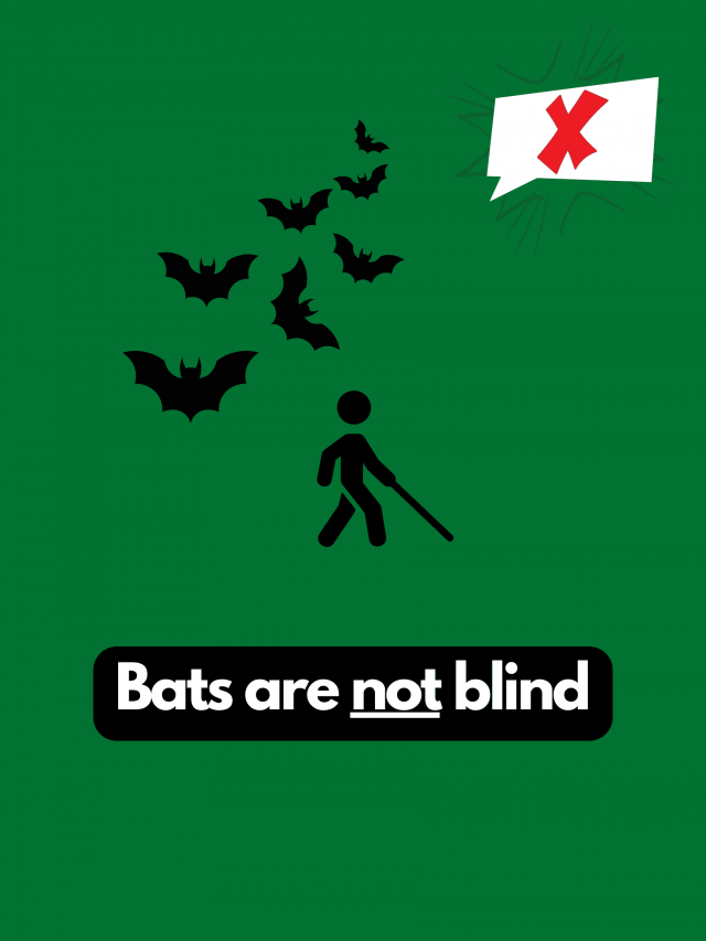 Myths That People Believe (22 pics)