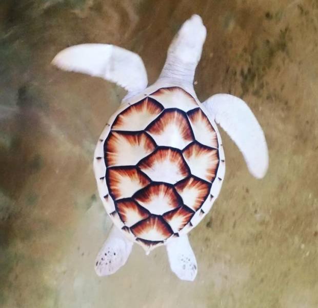 Interesting Travel Photos (20 pics)