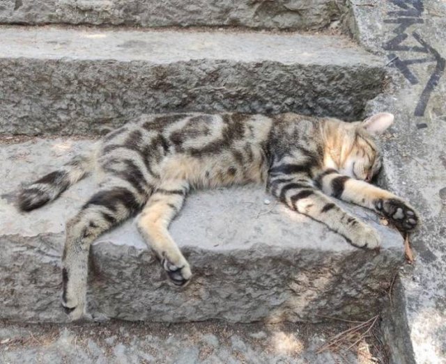 Interesting Travel Photos (20 pics)