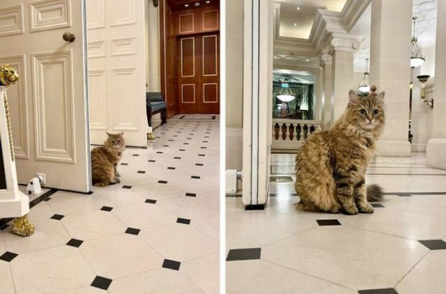 Interesting Travel Photos (20 pics)