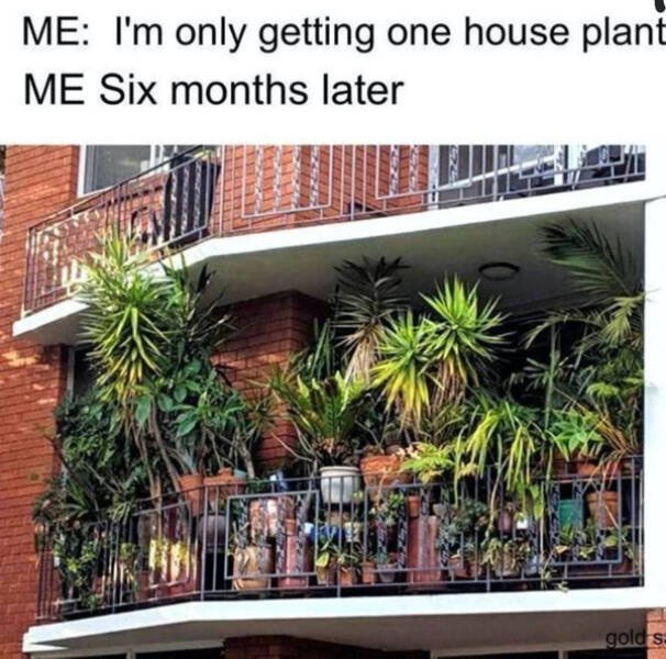 Jokes For Gardeners (27 pics) Jokes For Gardeners (27 pics)