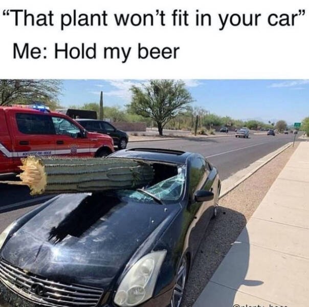 Jokes For Gardeners (27 pics) Jokes For Gardeners (27 pics)