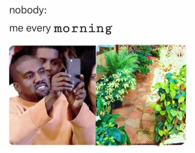 Jokes For Gardeners (27 pics) Jokes For Gardeners (27 pics)