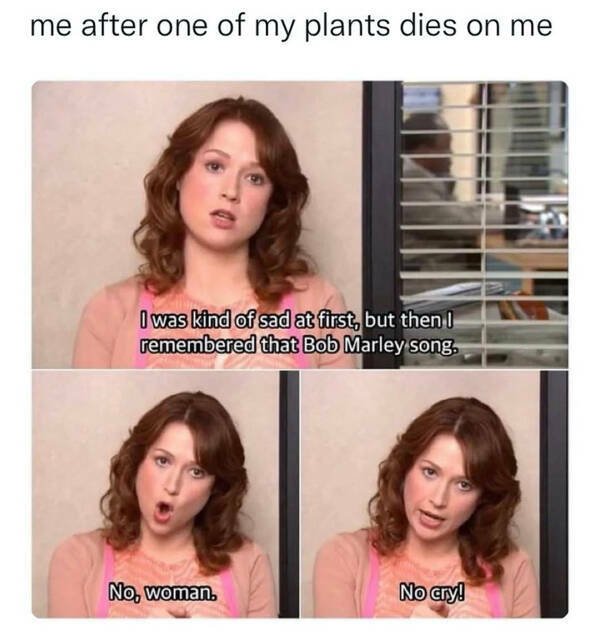 Jokes For Gardeners (27 pics) Jokes For Gardeners (27 pics)