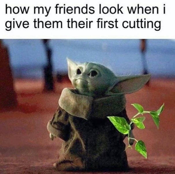 Jokes For Gardeners (27 pics) Jokes For Gardeners (27 pics)