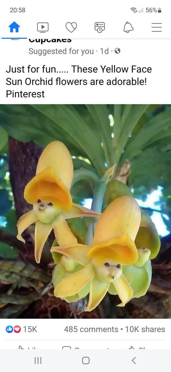 Jokes For Gardeners (27 pics) Jokes For Gardeners (27 pics)