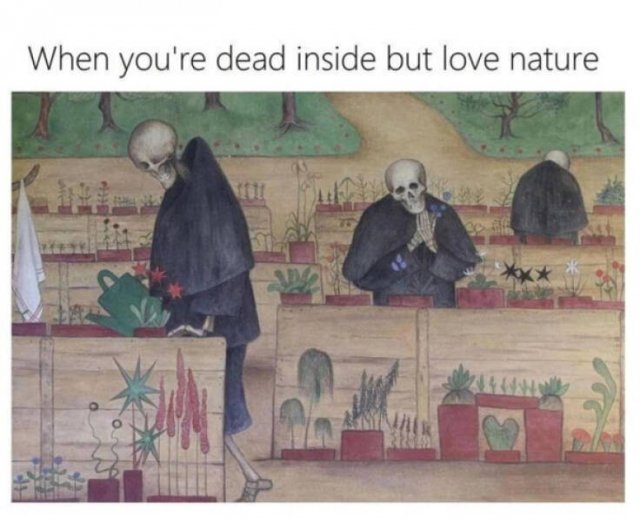 Jokes For Gardeners (27 pics) Jokes For Gardeners (27 pics)