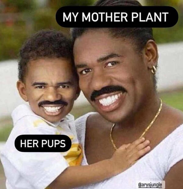 Jokes For Gardeners (27 pics) Jokes For Gardeners (27 pics)