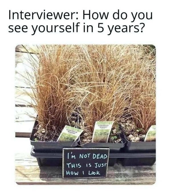 Jokes For Gardeners (27 pics) Jokes For Gardeners (27 pics)