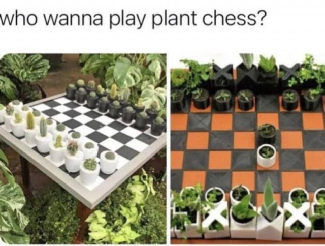 Jokes For Gardeners (27 pics) Jokes For Gardeners (27 pics)