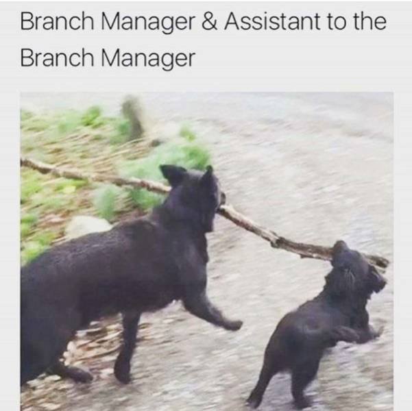 Memes From The TV Series ''The Office'' (31 pics) Memes From The TV Series ''The Office'' (31 pics)