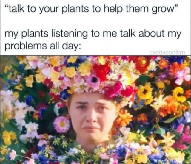 Jokes For Gardeners (27 pics)