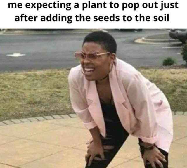 Jokes For Gardeners (27 pics) Jokes For Gardeners (27 pics)