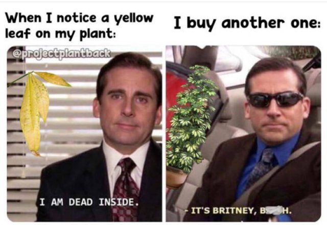 Jokes For Gardeners (27 pics) Jokes For Gardeners (27 pics)