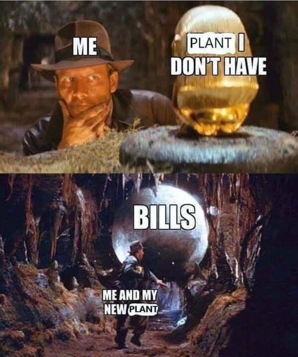 Jokes For Gardeners (27 pics) Jokes For Gardeners (27 pics)