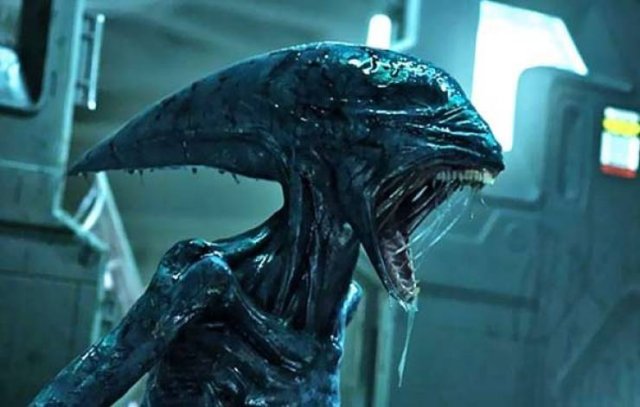 Popular Movies That Audiences Didn't Like (18 pics)