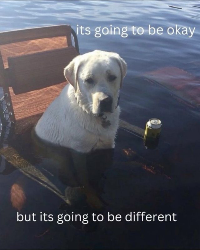 Motivational Posts (24 pics)